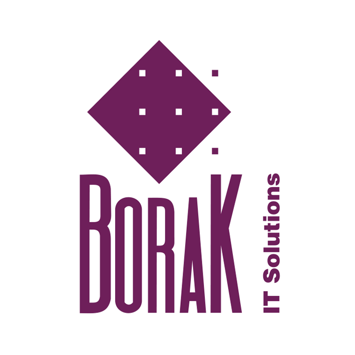 borak_ITsolutions